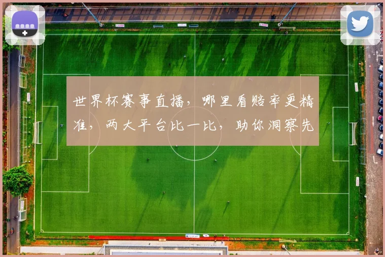 世界杯赛事直播，哪里看赔率更精准，两大平台比一比，助你洞察先机