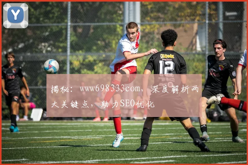 揭秘：www698333com，深度解析两大关键点，助力SEO优化